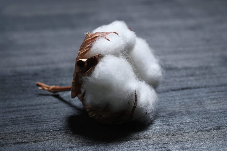 Better Cotton Supplier Training Programme