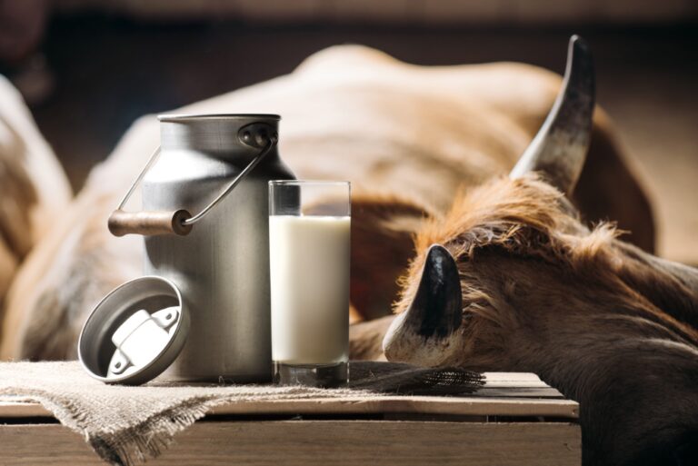 National Food Safety Standard Amendment Form for Raw Milk Published